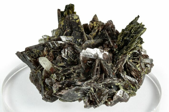Sharp Axinite Crystal Cluster with Green Epidote - Peru #347907